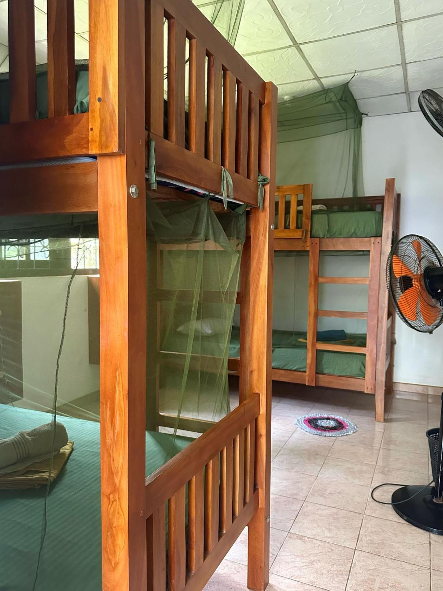Coco Mango Hostel Dikwella Kültér fotó